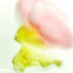 The Mini Daily Essentials Set